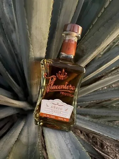 Botella de tequila Placentero Añejo sobre pencas de agave