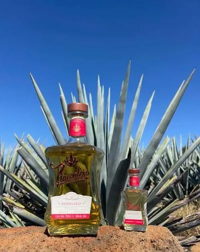 Botella de tequila Placentero Reposado frente a un agave azul
